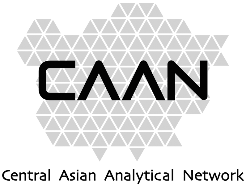 CAAN Logo